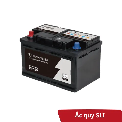 Ắc quy động cơ điện (12)