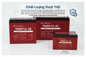 TNEP Series