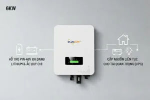 Bluesun 6KW 48V